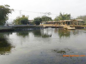 崇左知名的那馬竹泉島景區(qū) 南寧那馬竹泉島景區(qū)團(tuán)購 乘風(fēng)寨馬場, 崇左知名的那馬竹泉島景區(qū) 南寧那馬竹泉島景區(qū)團(tuán)購 乘風(fēng)寨馬場生產(chǎn)廠家, 崇左知名的那馬竹泉島景區(qū)