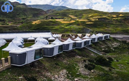 天津援藏 在雪域高原建起現(xiàn)代化農(nóng)業(yè)生態(tài)園