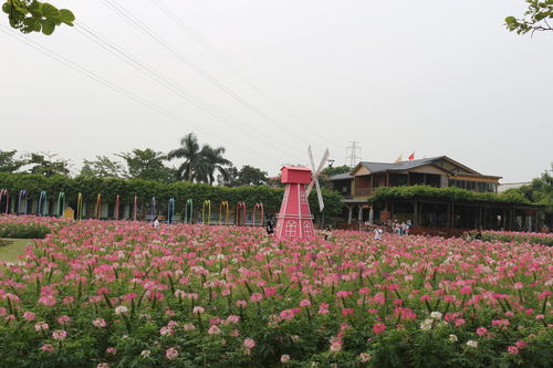 佛山團建公司 戶外定向探索盈香生態(tài)園