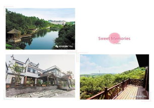 數(shù)說假期 當端午 撞 上父親節(jié),這個小長假想不熱鬧都不行