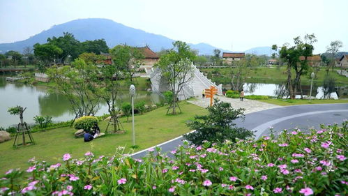 人文薌城歡迎您