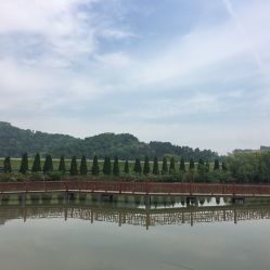 龍荷農業生態園與九龍潭生態園游覽指南 聯系方式、地址與營業時間