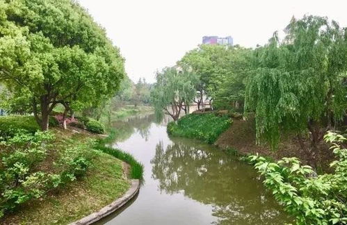 常熟奉賢手牽手，九龍潭生態園繪就跨區域文旅新篇章